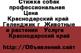 Стижка собак профессиональная › Цена ­ 650 - Краснодарский край, Геленджик г. Животные и растения » Услуги   . Краснодарский край